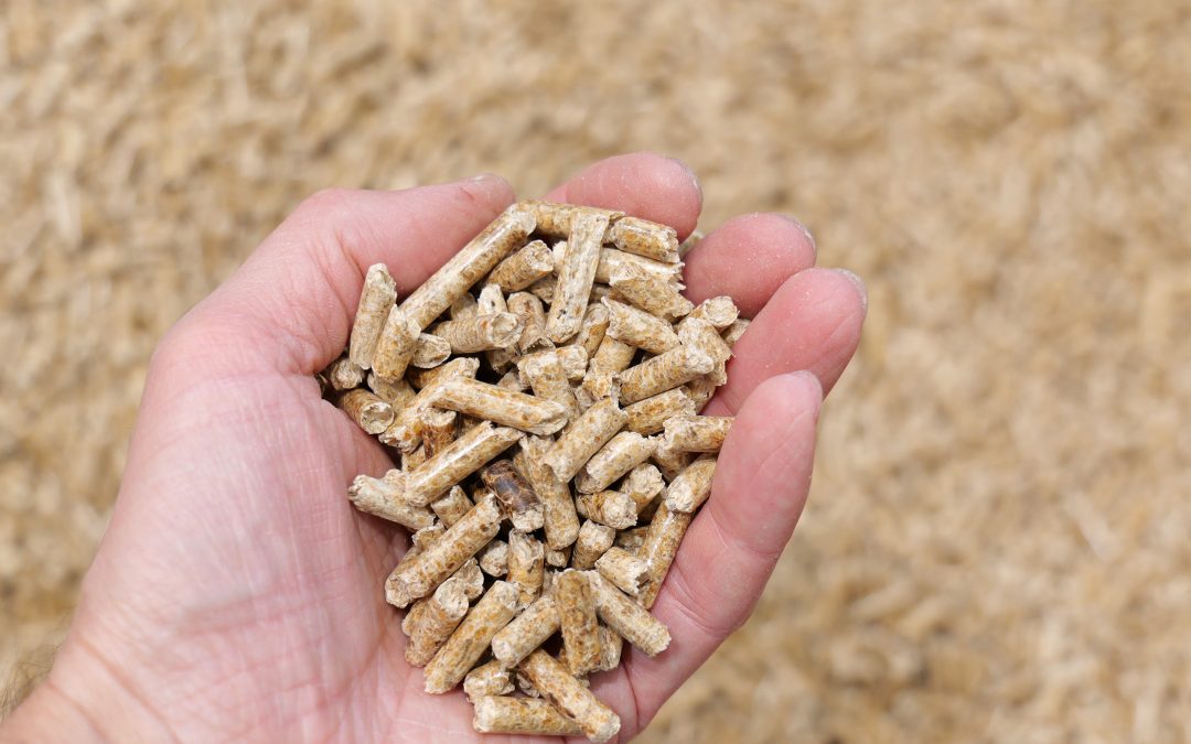 Pelletheizung: Klimafreundlich und dauerhaft günstig